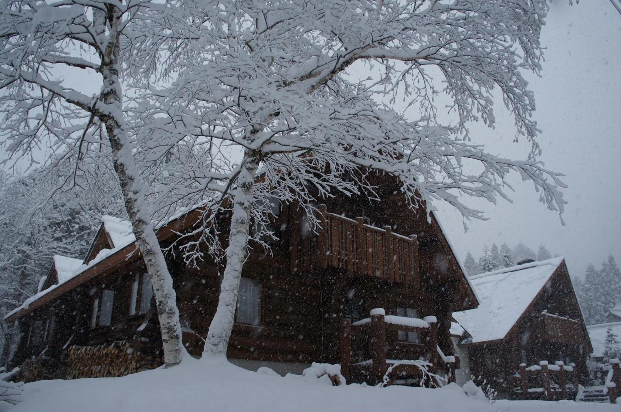 Log Hotel Kamloops Shinano  Bagian luar foto