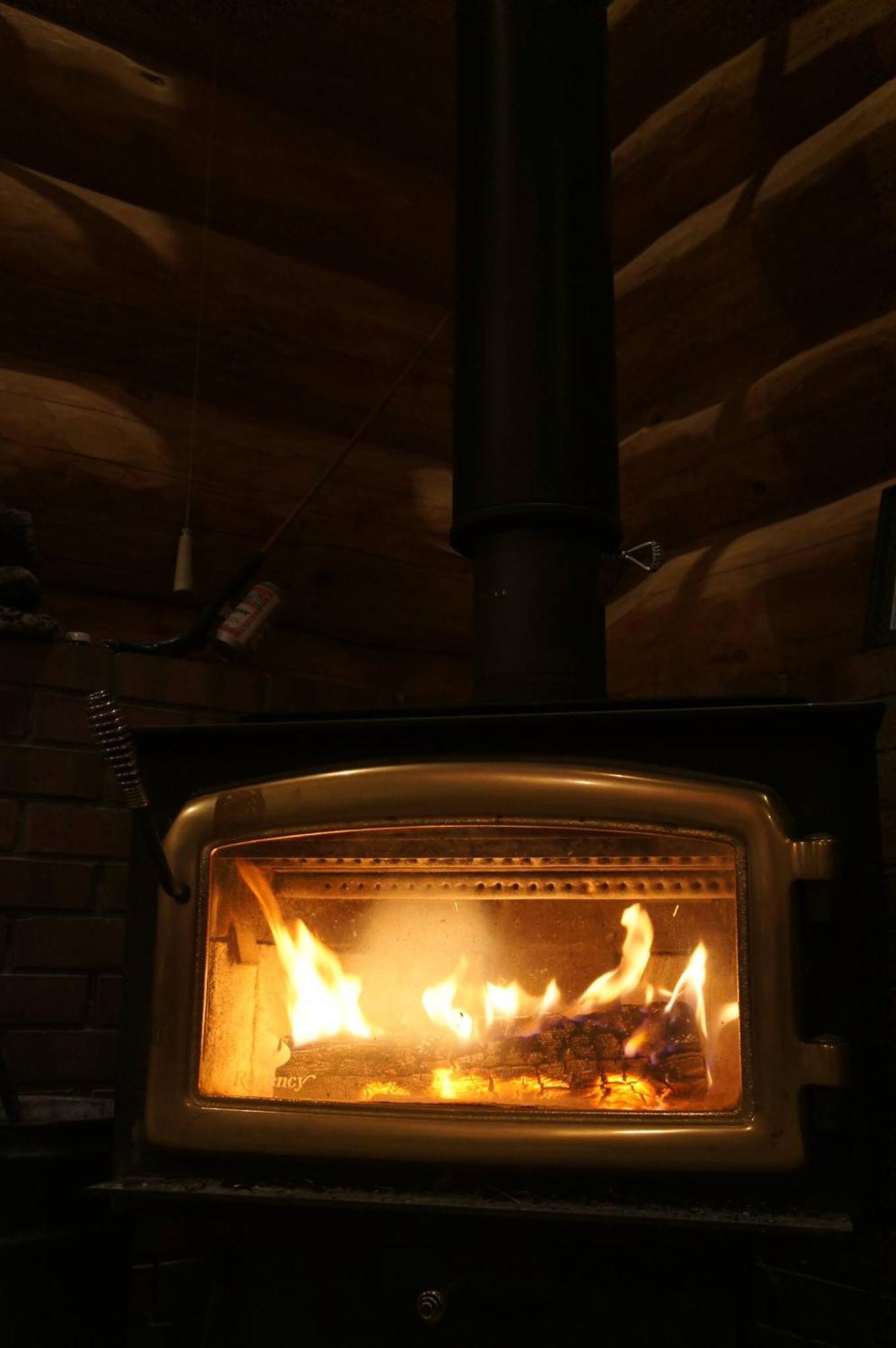 Log Hotel Kamloops Shinano  Bagian luar foto